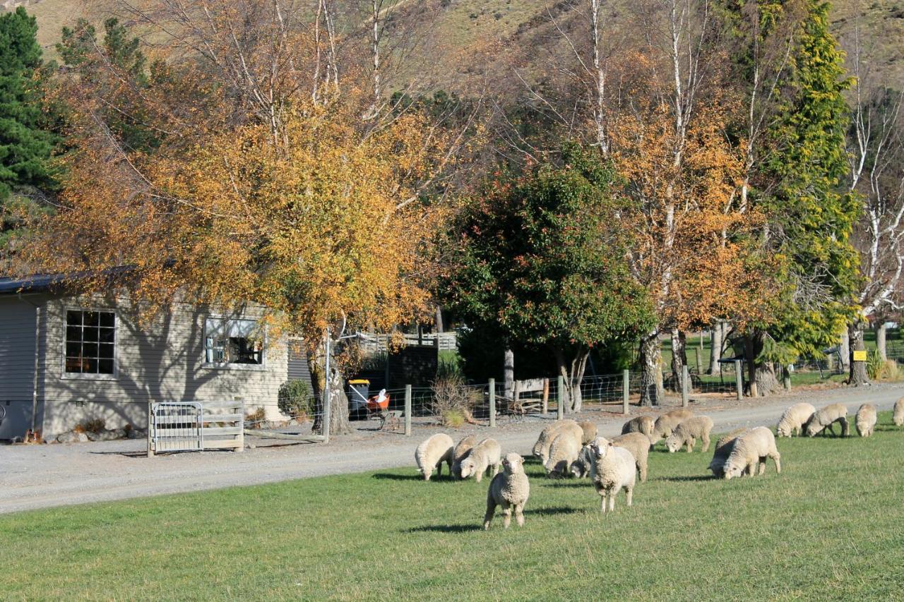 Bauchops Hill Station Farmstay Burkes Pass エクステリア 写真