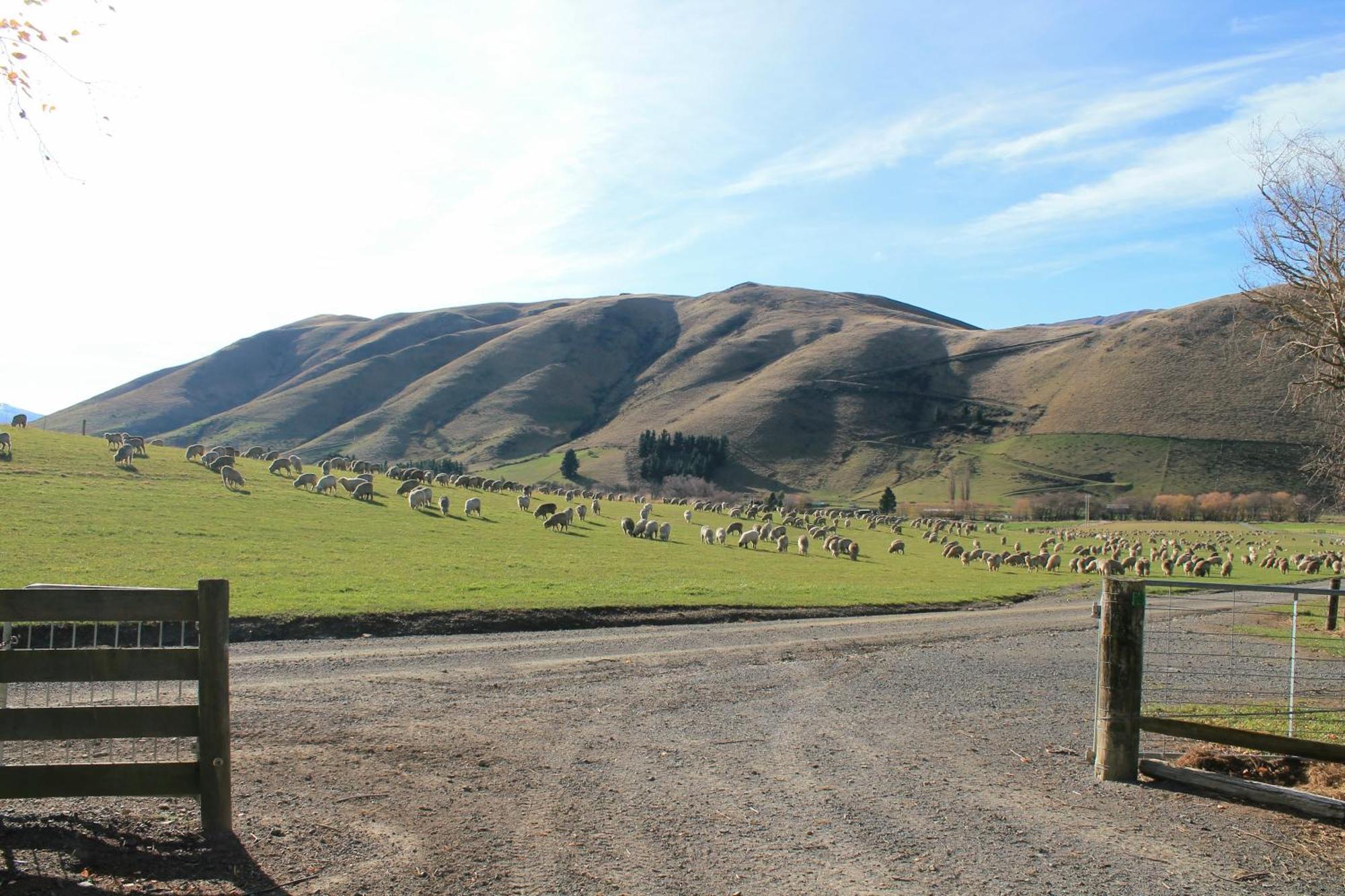 Bauchops Hill Station Farmstay Burkes Pass エクステリア 写真